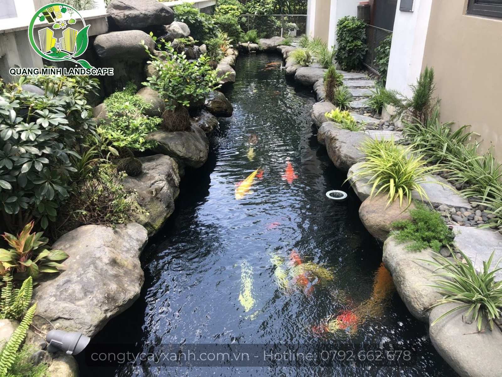 thiet-ke-ho-ca-koi-02